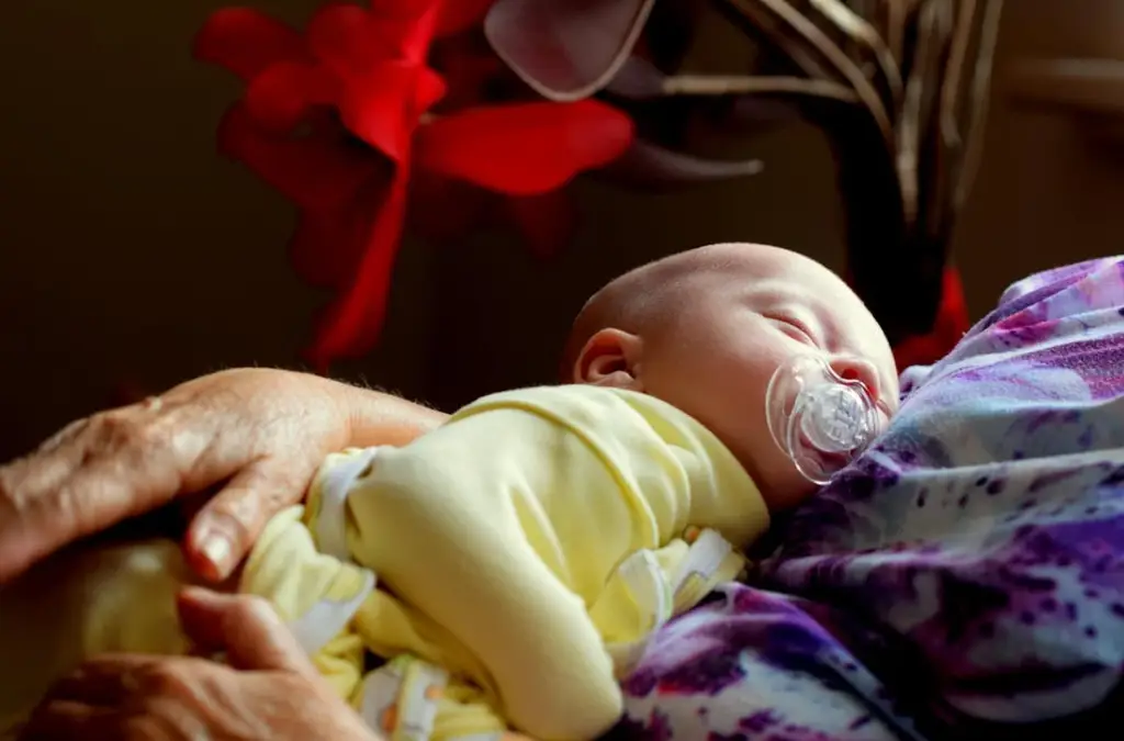 托育補助是什麼？