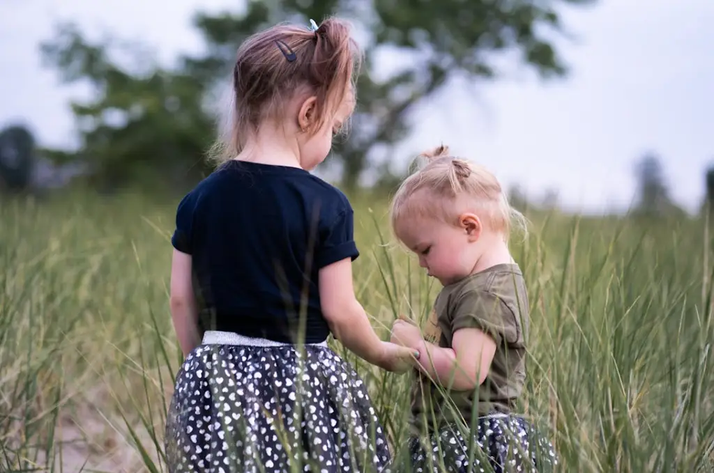 育兒津貼與就學補助：新手上路的你不可不知的關鍵資訊